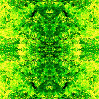 03[01]