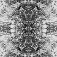 03[02]