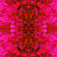 03[04]