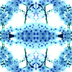 04[03]