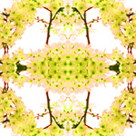 04[05]