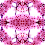 04[06]