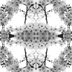 04[07]