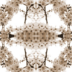 04[08]
