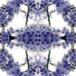 04[09]